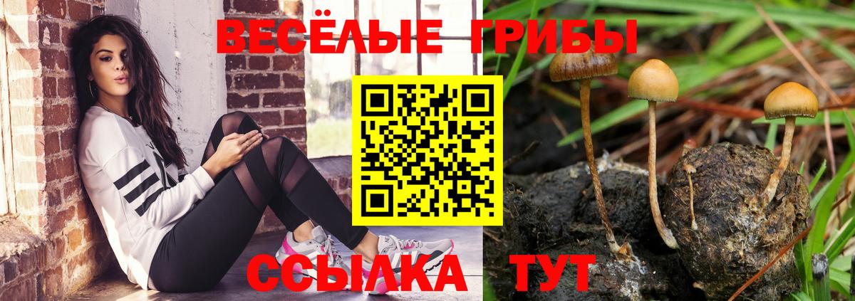 Галлюциногенные грибы мицелий Саяногорск
